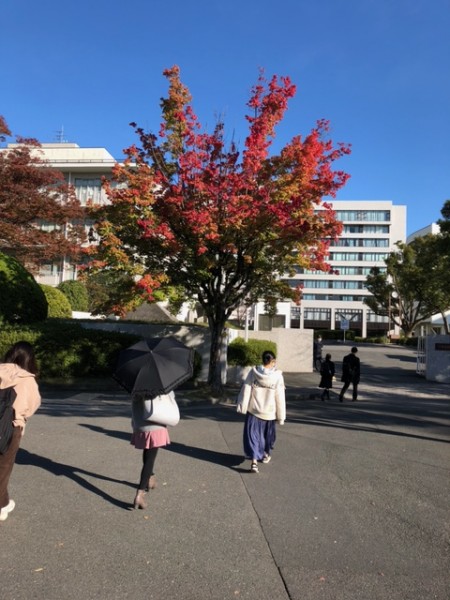 正門の紅葉