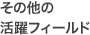 ���̑��̊���t�B�[���h