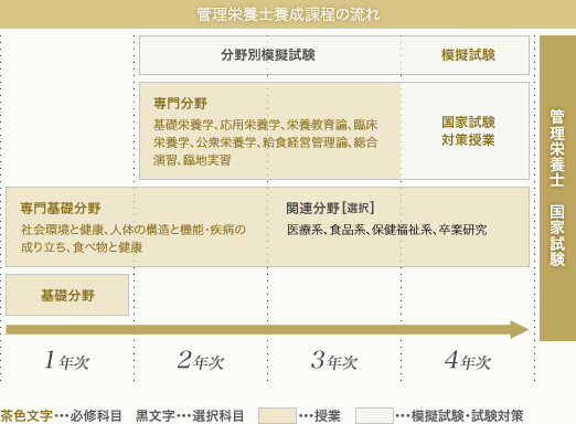 管理栄養士養成課程の流れ