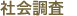 社会調査