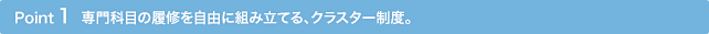 Point1 専門科目の履修を自由に組み立てる、クラスター制度。