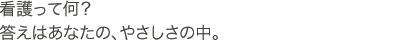 �Ō���ĉ��H�����͂��Ȃ��́A�₳�����̒��B