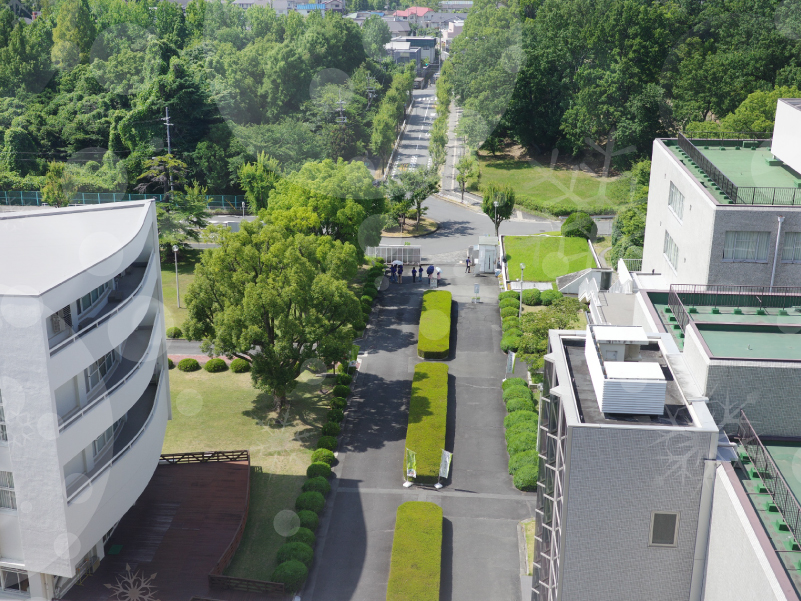 千里金蘭大学オープンキャンパス 実施風景7